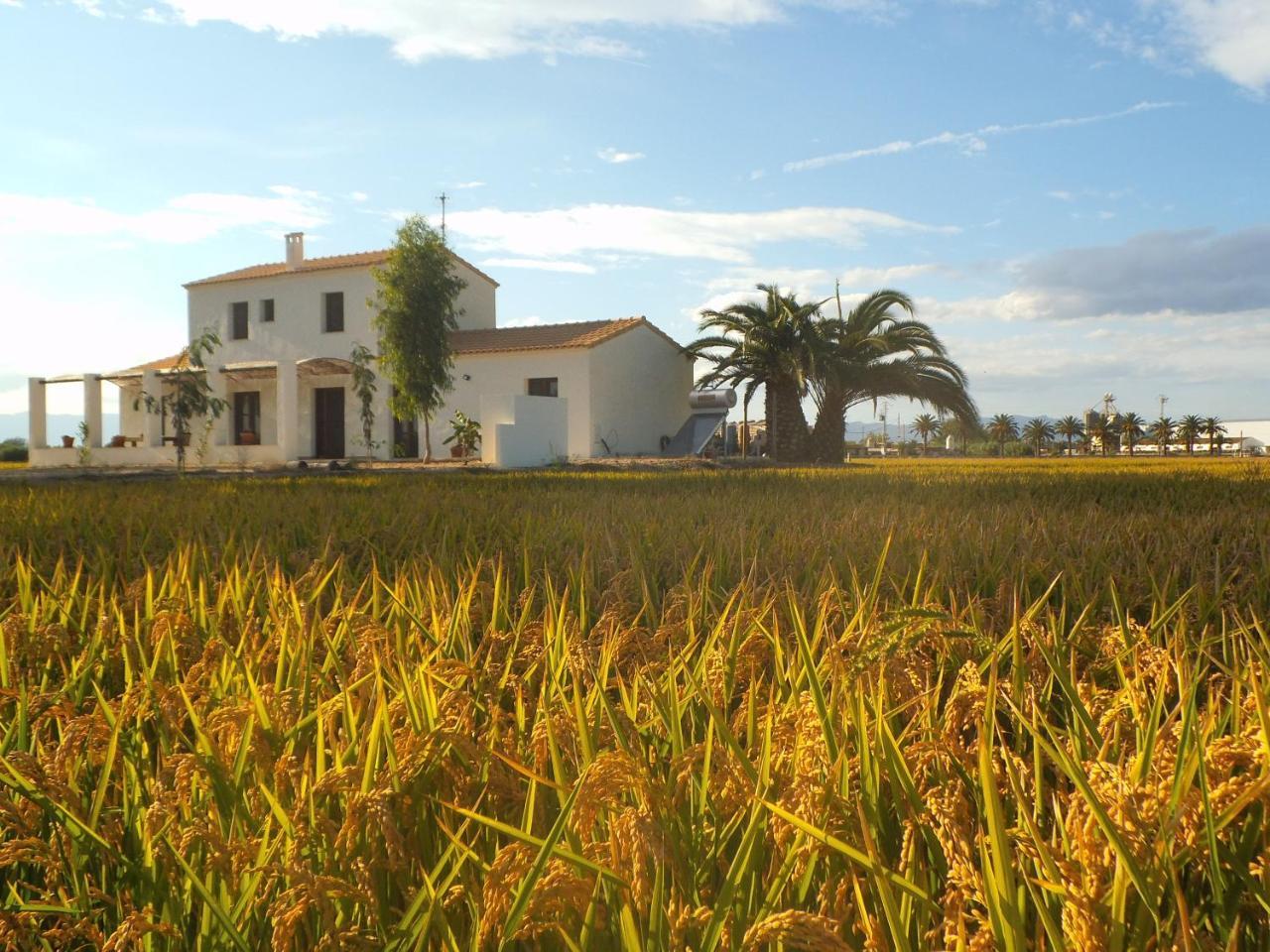 Mas Dels Bonos Guest House Deltebre Eksteriør bilde